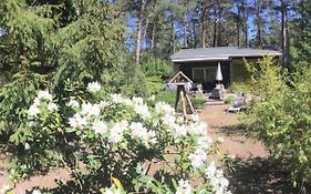 Ferienhaus Wald und Seeidylle, nahe Badesee, Spreewald, Berlin